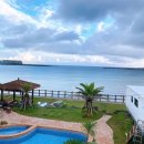 제주 자고가 이미지