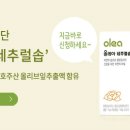 네추럴솝 이미지
