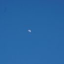 남해어시장 이미지