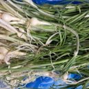 봄을담다 이미지