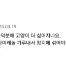 씨유배재대점 Daum카페