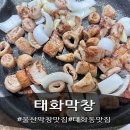 울산 태화동 맛집 막창 맛집 태화막창 솔직후기