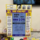 금화애견 이미지