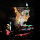 소나무향기펜션 이미지