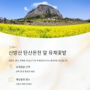 성읍정의현로 이미지