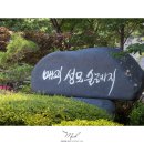 디앤지투어주