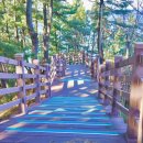 세븐일레븐 속초동명항점 이미지