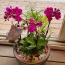 동산9세천 이미지