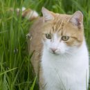 연성동물병원 이미지