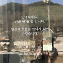 쌍용자동차평창서비스프라자 이미지