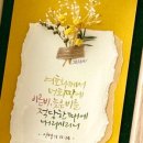 꽃과 만나는 캘리그라피 이미지