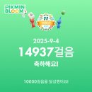 김약국 | 블챌을 빙자한 8월과 9월 초의 언저리