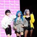 레이디스 코드 카카오 검색결과