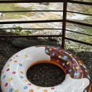 금다래캠핑장 이미지