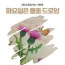 문화서로 Daum카페