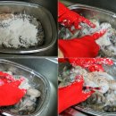 쭈꾸쭈꾸미 이미지