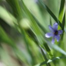 치유의 바람 이미지