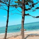 삼척 레일바이크 후기 | 궁촌정거장 바다 코스 아이와 함께 추천