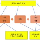 티에스비엠 이미지