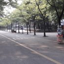 신축호랑이사 이미지