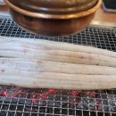 장어시대 이미지