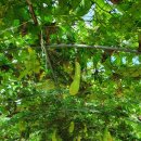 박서생 청년통신사공원 화장실 이미지