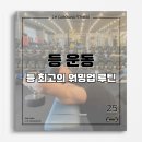 캐롤리나 휘트니스 | 등 운동 최고의 워밍업 루틴