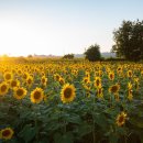 행정사사무소 성지 이미지