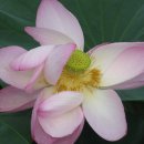 번지농장1번 이미지