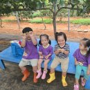 도윤농장 이미지