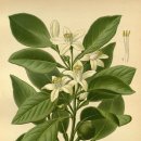 원종화장품 이미지