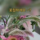두시카페공방 이미지