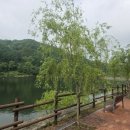 좌구산자연휴양림 이미지