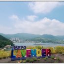 선창상회