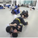 화랑합기도&부여주짓수 네이버블로그