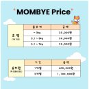 일산애견호텔 강아지유치원 맘바이일산점 이미지