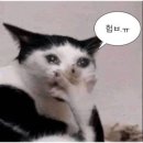 i필름 | [르랑필름] 수원 WI 컨벤션 I 홀 본식 DVD 계약 후기!