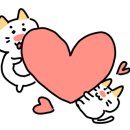 구로종합동물병원 이미지