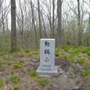 동학산 공원 이미지