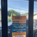 진해맛집 풍호동맛집 진해구청맛집 "정성순대 풍호점"_프리미엄 버섯 순대전걸 찐 후기