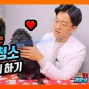 올바른 동물병원 이미지