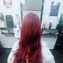 고려카샵 이미지