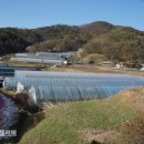 후계자 농장 이미지