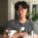 하나로동물병원 이미지