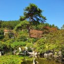 돌산동산정원 네이버블로그
