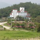 산호모텔 이미지