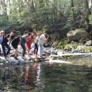 팜파스펜션 이미지