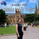 민토피아