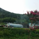 내송축산 네이버블로그