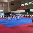 타이거 태권도장 이미지